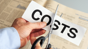 Growing Skills Without Growing Expenses: Cost-Effective Training Solutions